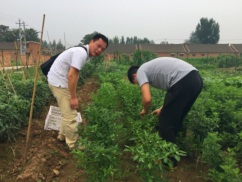 好利來郭總喊您來摘菜啦！綠色無公害，放心！